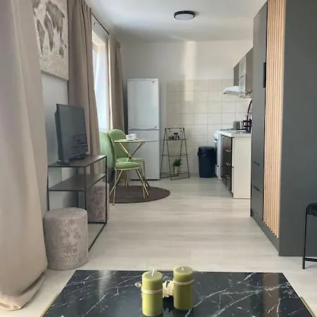 Blizko Centra Apartment *